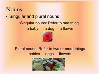 Nouns
• Singular and plural nouns
Plural nouns: Refer to two or more things
babies dogs flowers
Singular nouns: Refer to one thing.
a baby a dog a flower
 