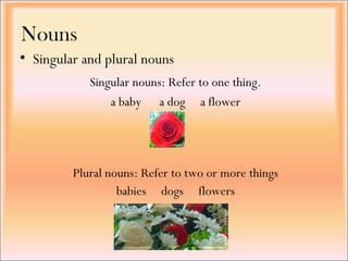 Nouns
• Singular and plural nouns
Plural nouns: Refer to two or more things
babies dogs flowers
Singular nouns: Refer to one thing.
a baby a dog a flower
 
