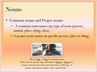 • Common nouns and Proper nouns
– A common noun names any type of noun (person,
animal, place, thing, idea).
– A proper noun names an specific person, place or thing.
Nouns
This is a dog. A dog is a common noun.
This is also an specific dog. His name is Homer. Homer is a
proper noun because is the particular name of this dog. A
proper noun always begins with a capital letter.
 