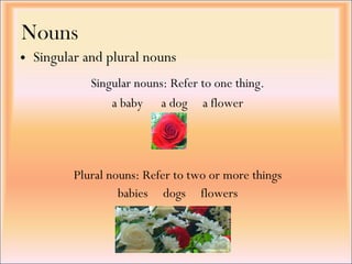 Nouns Singular and plural nouns Plural nouns: Refer to two or more things babies  dogs  flowers Singular nouns: Refer to one thing. a baby  a dog  a flower 