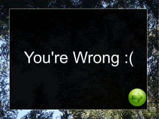 Activity: Is this a common noun? SM Mall of Asia YES NO 