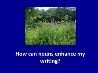 How can nouns enhance my
writing?
 