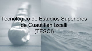 Tecnológico de Estudios Superiores
de Cuautitlán Izcalli
(TESCI)
 