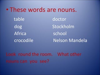 These words are nouns. table  doctor dog  Stockholm  Africa  school  crocodile  Nelson Mandela Look  round the room.  What other nouns can  you  see?  