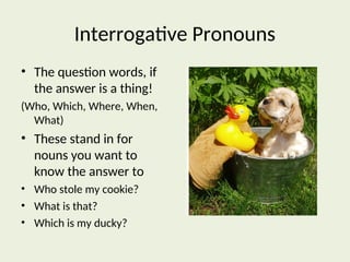 Nouns Pronoun In English For Beginners ppt
