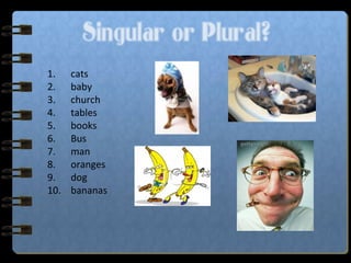 Singular or Plural?
1. cats
2. baby
3. church
4. tables
5. books
6. Bus
7. man
8. oranges
9. dog
10. bananas
 