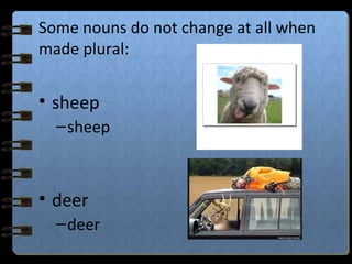 Some nouns do not change at all when
made plural:
• sheep
–sheep
• deer
–deer
 