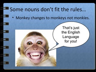 Some nouns don’t fit the rules…
• Monkey changes to monkeys not monkies.
That’s just
the English
Language
for you!
 