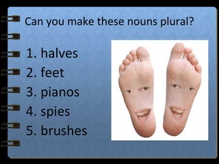 Can you make these nouns plural?
1. halves
2. feet
3. pianos
4. spies
5. brushes
 