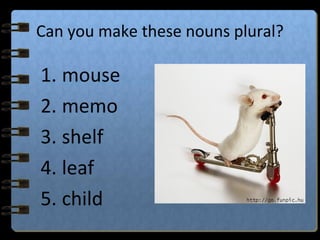 Can you make these nouns plural?
1. mouse
2. memo
3. shelf
4. leaf
5. child
 