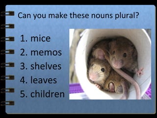 Can you make these nouns plural?
1. mice
2. memos
3. shelves
4. leaves
5. children
 