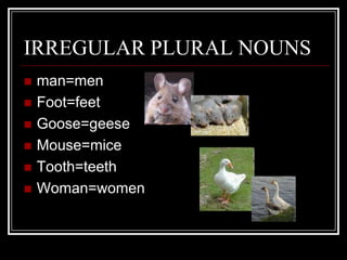 IRREGULAR PLURAL NOUNS
   man=men
   Foot=feet
   Goose=geese
   Mouse=mice
   Tooth=teeth
   Woman=women
 