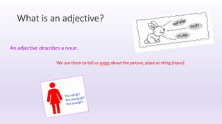 What is an adjective?
An adjective describes a noun.
We use them to tell us more about the person, place or thing (noun).