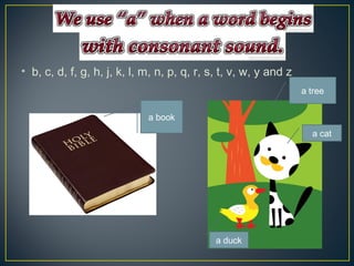 • b, c, d, f, g, h, j, k, l, m, n, p, q, r, s, t, v, w, y and z
a book
a cat
a duck
a tree
