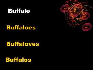 Buffalo

Buffaloes

Buffaloves

Buffalos
 