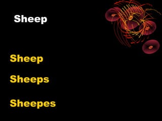 Sheep



Sheep

Sheeps

Sheepes
 