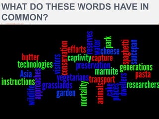 WHAT DO THESE WORDS HAVE IN
COMMON?

 