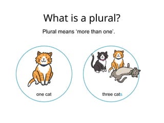 What is a plural?
Plural means ‘more than one’.
one cat three cats
 