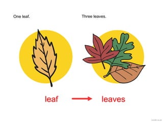 leaf leaves
One leaf. Three leaves.
 