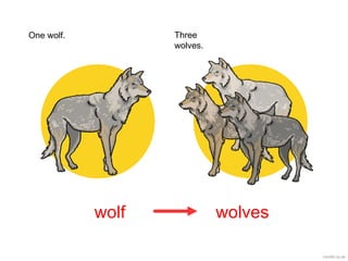 wolf wolves
One wolf. Three
wolves.
 
