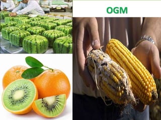 OGM
18
 