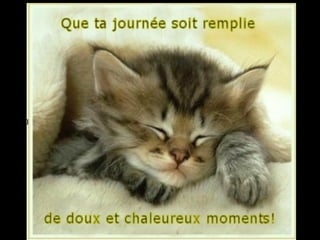 Nous Avons Tous Besoin Des Amis Nous Avons Tous Besoin Des Amis