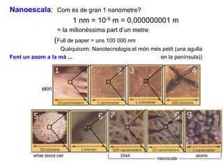 Nanoescala: Com és de gran 1 nanòmetre?
                1 nm = 10-9 m = 0,000000001 m
                 = la milionèssima part d’un metre
                (Full de paper = uns 100 000 nm
                  Quèquicom: Nanotecnologia:el món més petit (una agulla
Fent un zoom a la mà ...                              en la península))
 
