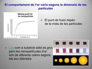 El comportament de l’or varia segons la dimensió de les
                      partícules


                           El punt de fusió depèn
                            de la mida de les partícules




 L’or com a substrat sòlid és groc,
  però les nanopartícules d’or
  són de diferents colors segons
  els seu diàmetre
 