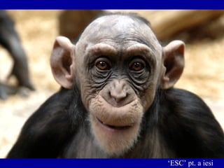 ‘ ESC’ pt. a iesi 