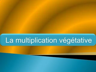 La multiplication végétative 