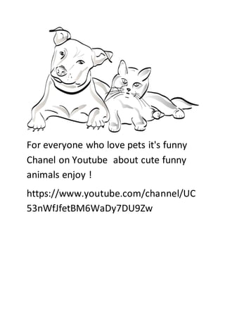 For everyone who love pets it's funny
Chanel on Youtube about cute funny
animals enjoy !
https://www.youtube.com/channel/UC
53nWfJfetBM6WaDy7DU9Zw
 