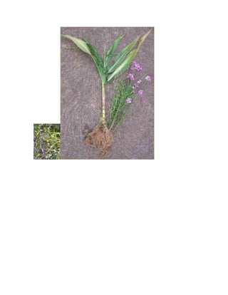 Nouveau document microsoft word