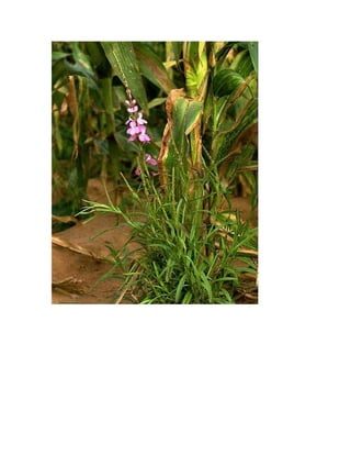 Nouveau document microsoft word