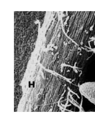 Nouveau document microsoft word