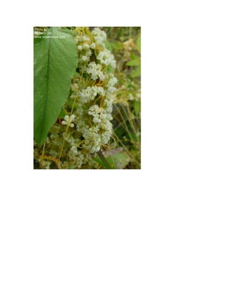 Nouveau document microsoft word