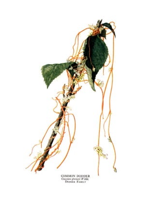 Nouveau document microsoft word