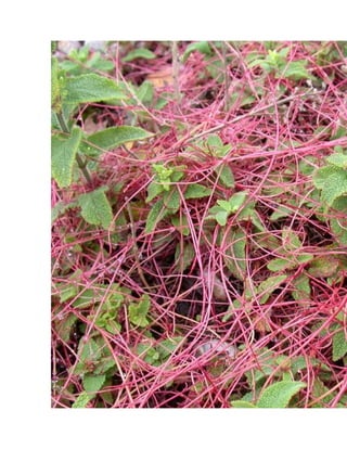 Nouveau document microsoft word