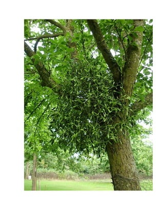 Nouveau document microsoft word