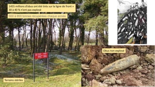 Obus non explosé
Terrains stériles
1455 millions d’obus ont été tirés sur la ligne de front »
30 à 40 % n’ont pas explosé
500 à 800 tonnes récupérées chaque année
 