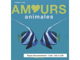 Rayon Documentaires - Cote : 591.5 LOD 