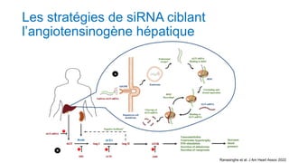 Les stratégies de siRNA ciblant
l’angiotensinogène hépatique
Ranasinghe et al. J Am Heart Assoc 2022
 