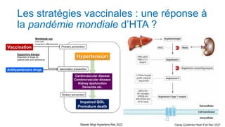 Les stratégies vaccinales : une réponse à
la pandémie mondiale d’HTA ?
Masaki Mogi Hypertens Res 2022 Garay-Gutiérrez Heart Fail Rev 2021
 