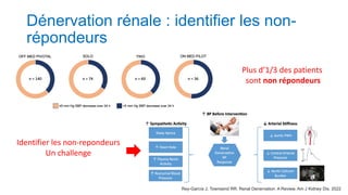 Dénervation rénale : identifier les non-
répondeurs
Rey-García J, Townsend RR. Renal Denervation: A Review. Am J Kidney Dis. 2022
Plus d’1/3 des patients
sont non répondeurs
Identifier les non-repondeurs
Un challenge
 