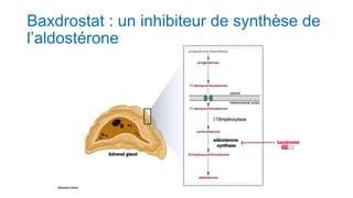 Baxdrostat : un inhibiteur de synthèse de
l’aldostérone
 