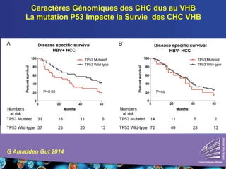 Caractères Génomiques des CHC dus au VHB
La mutation P53 Impacte la Survie des CHC VHB
G Amaddeo Gut 2014
 
