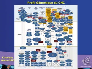 Profil Génomique du CHC
K Schulze
Nature 2015
 