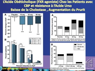 GM Hirschfield Gastro 2015
 