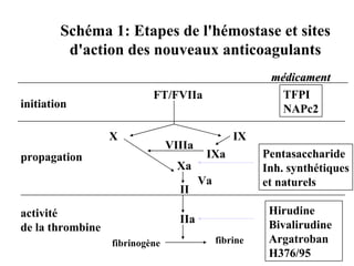 Schéma 1: Etapes de l'hémostase et sites
         d'action des nouveaux anticoagulants
                                                        médicament
                           FT/FVIIa                       TFPI
initiation                                                NAPc2

                  X                              IX
                                VIIIa
propagation                              IXa           Pentasaccharide
                                  Xa                   Inh. synthétiques
                                        Va             et naturels
                                  II

activité                                                Hirudine
                                  IIa                   Bivalirudine
de la thrombine
                  fibrinogène                fibrine    Argatroban
                                                        H376/95
 