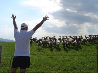 Pourquoi changer d’espace temps ?
 