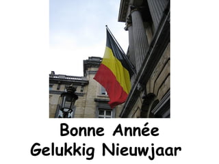 Bonne Année Gelukkig Nieuwjaar  
